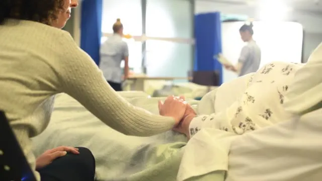 
                                                                                            Türkiye: A Journey to Healing - Discover the World of Medical Tourism
                                            